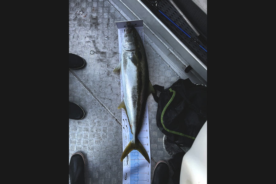 Dean Bateman caught this 93.5cm Kingfish at Barrior during The Export NZ Fishing Competition