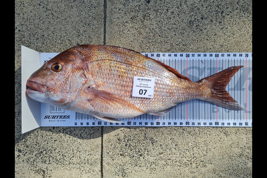 Rod Cooke caught this 63.0cm Snapper at Coromandel during The Export NZ Fishing Competition