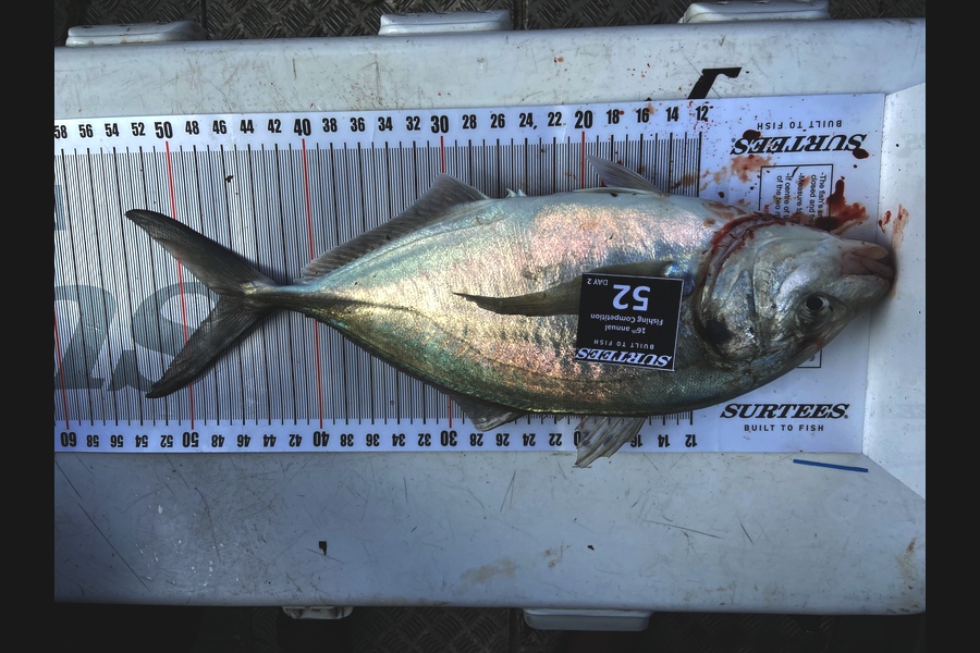Richard Schrieber caught this 47.0cm Trevally at Coromandel during The Export NZ Fishing Competition
