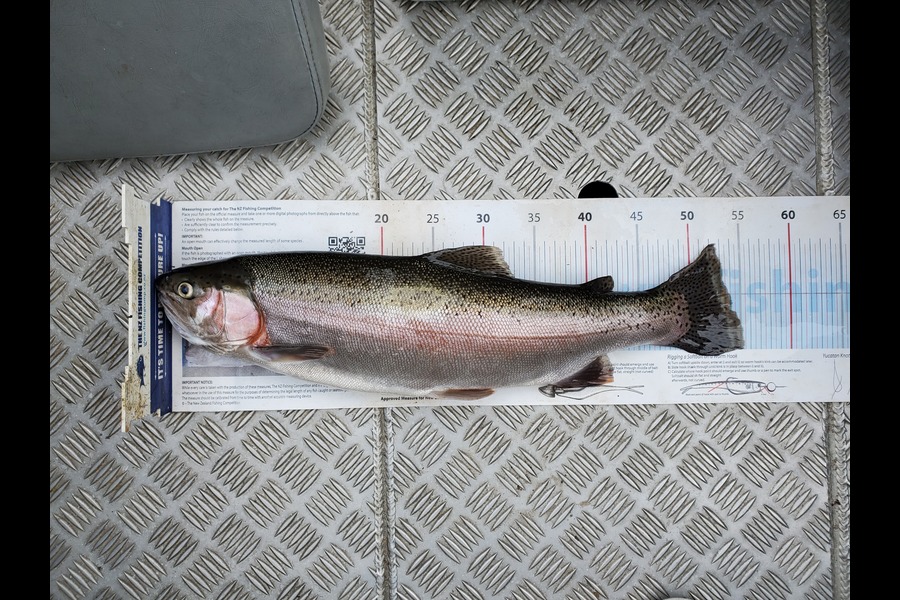 Wayne Ogier caught this 53.5cm Trout at Lake Rotoiti during The Export NZ Fishing Competition
