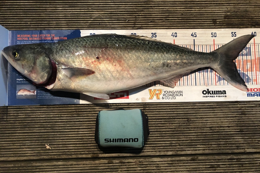 Andrew Froome caught this 54cm Kahawai at Okato during The Export NZ Fishing Competition