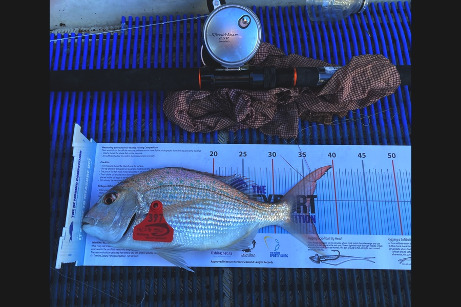 Gary Graham caught this 35.5cm Snapper at Gisborne nicks head during The Export NZ Fishing Competition