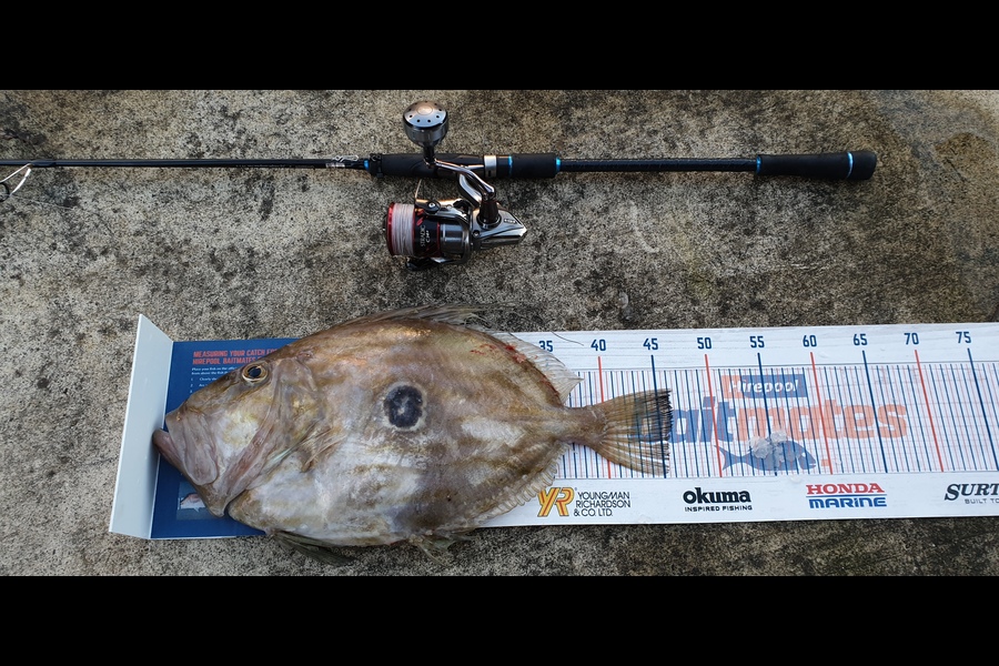 Alton King caught this 46cm John Dory at Ancorite during The Export NZ Fishing Competition