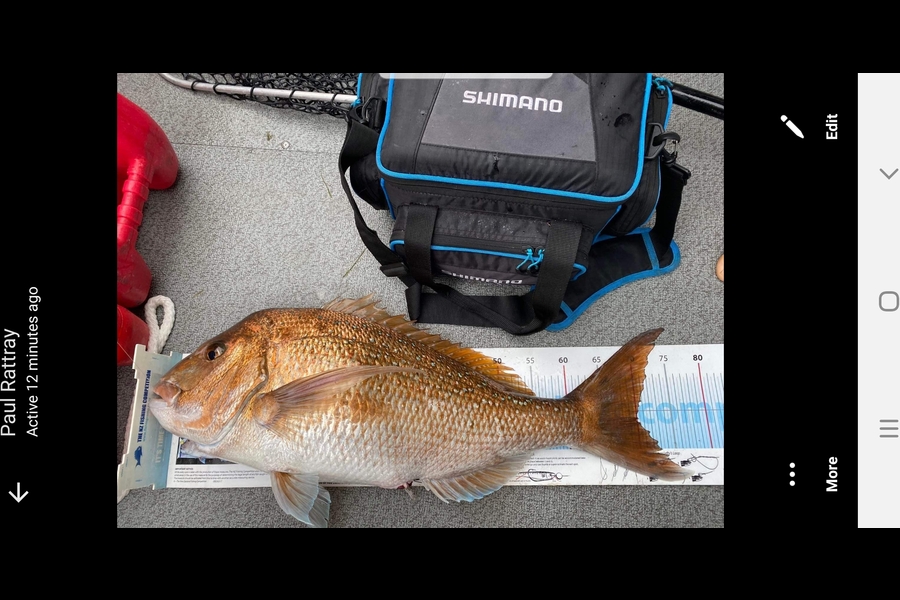 Thomas  Sherson caught this 70.0cm Snapper at Coromandel  during The Export NZ Fishing Competition