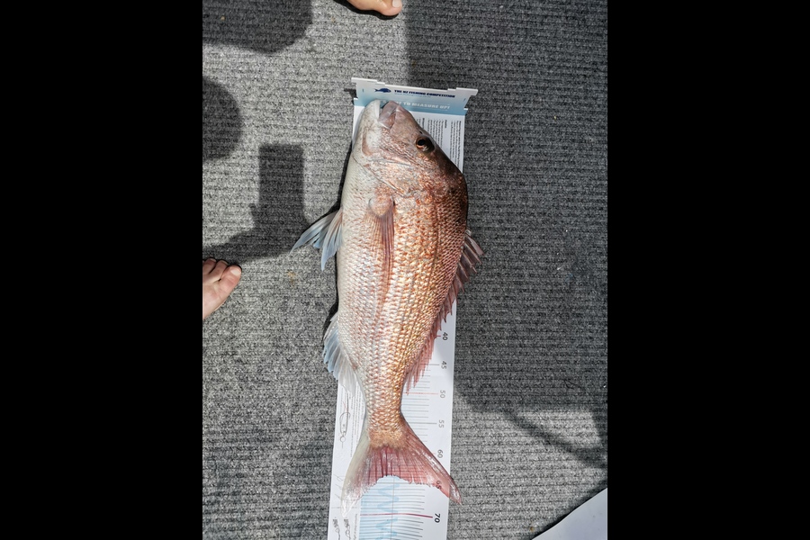 Laura Powell caught this 63.5cm Snapper at Noises during The Export NZ Fishing Competition
