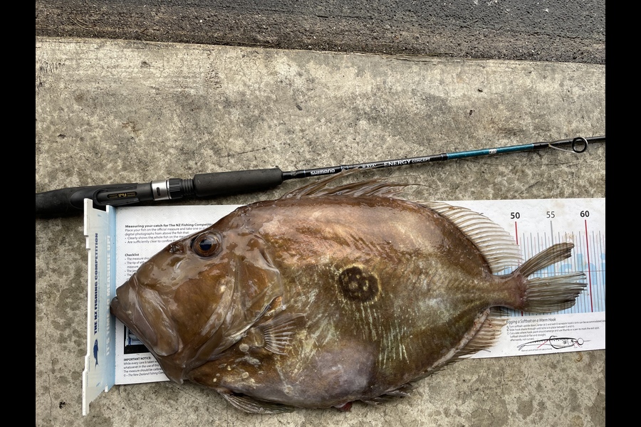 Sam Julian caught this 59.5cm John Dory at Makara during The Export NZ Fishing Competition