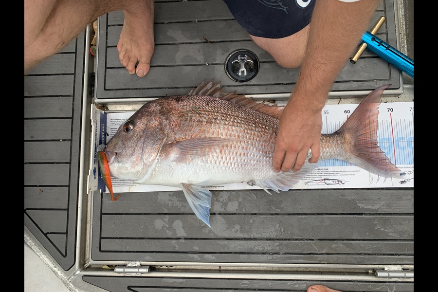 Mathieu Poot caught this 66.5cm Snapper at Karikari during The Export NZ Fishing Competition