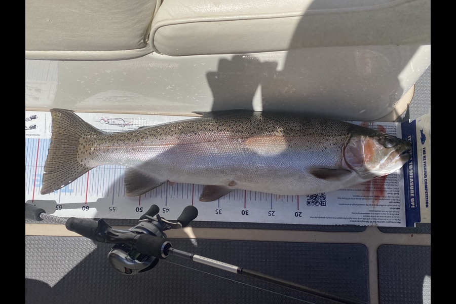 Ian Pedersen caught this 67.5cm Trout at BOP during The Export NZ Fishing Competition