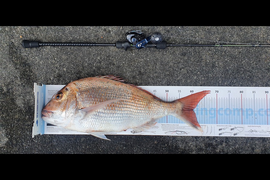 Hamish Woods caught this 60.5cm Snapper at Mana during The Export NZ Fishing Competition