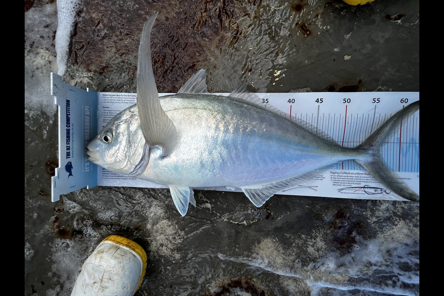 Bevan Renata caught this 56.5cm Trevally at Coromandel during The Export NZ Fishing Competition