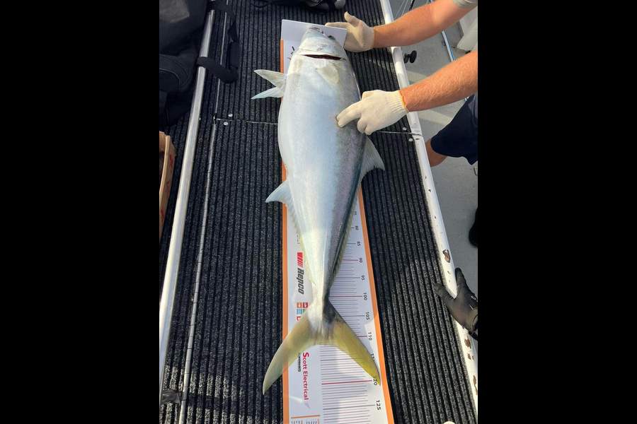 Sam Mucalo caught this 111.5cm Kingfish at Far north during The Export NZ Fishing Competition