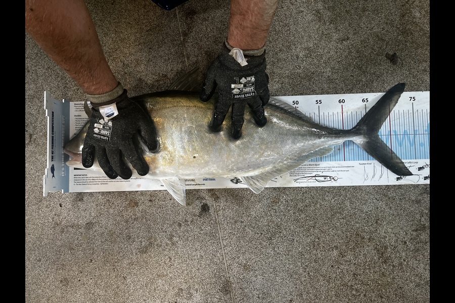 Cody Wensor caught this 67.0cm Trevally at Hauraki gulf  during The Export NZ Fishing Competition