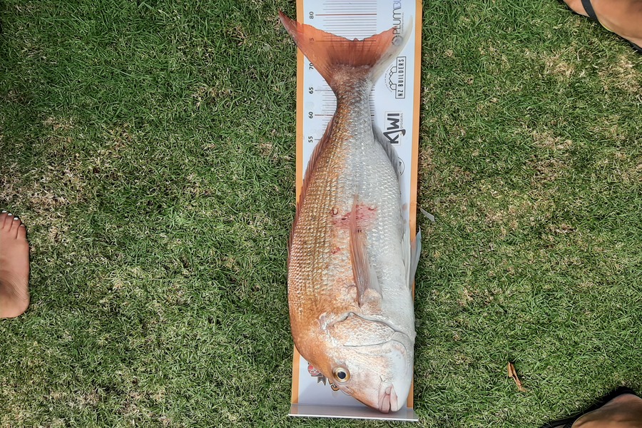 Arrison Kirsten caught this 75.0cm Snapper at Coromandel  during The Export NZ Fishing Competition