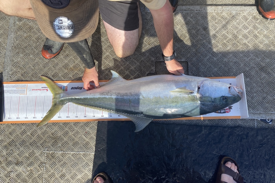 Blake Cooper caught this 110.0cm Kingfish at Kings bank  during The Export NZ Fishing Competition