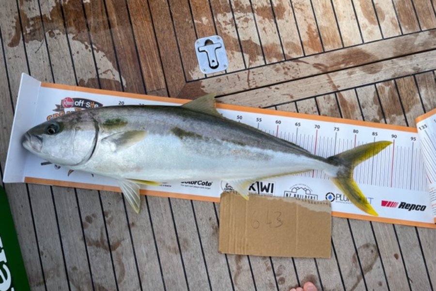 John Scott caught this 80.0cm Kingfish at Kawau during The Export NZ Fishing Competition