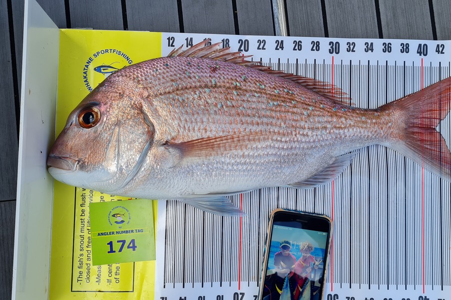 Nikki Pask caught this 41.5cm Snapper at Whakatane during The Export NZ Fishing Competition