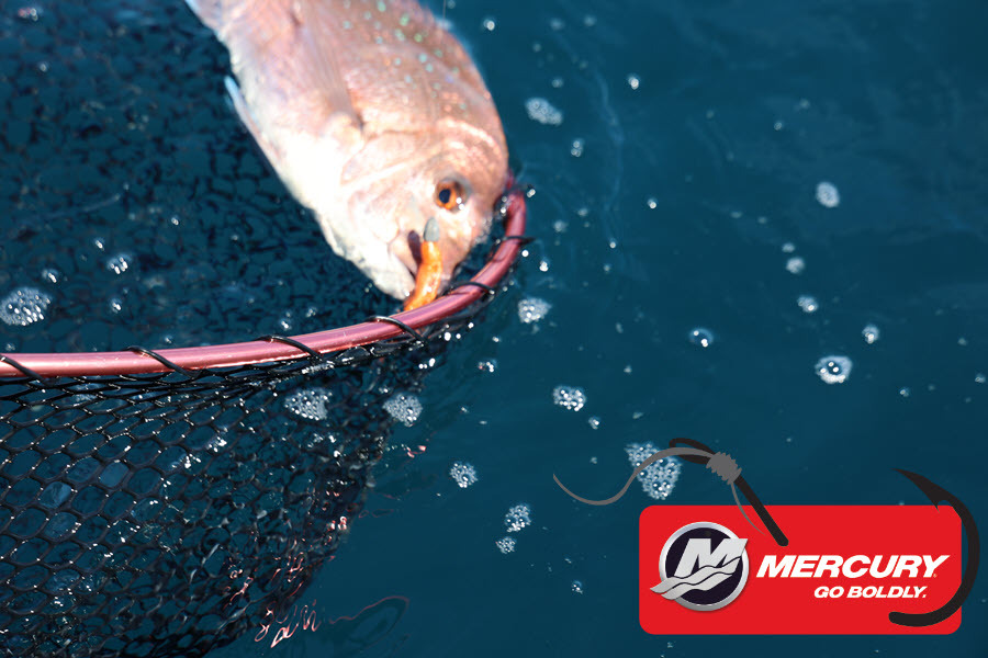Leah Foxcroft caught this 120.0cm Kingfish at Little barrier  during The Export NZ Fishing Competition
