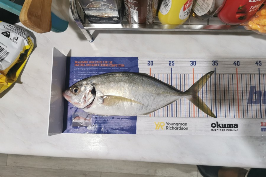 Harry Shi caught this 30.5cm Trevally at Marsden Point during The Export NZ Fishing Competition