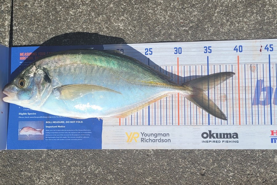 Garry Johnson caught this 34.0cm Trevally at Waitara during The Export NZ Fishing Competition