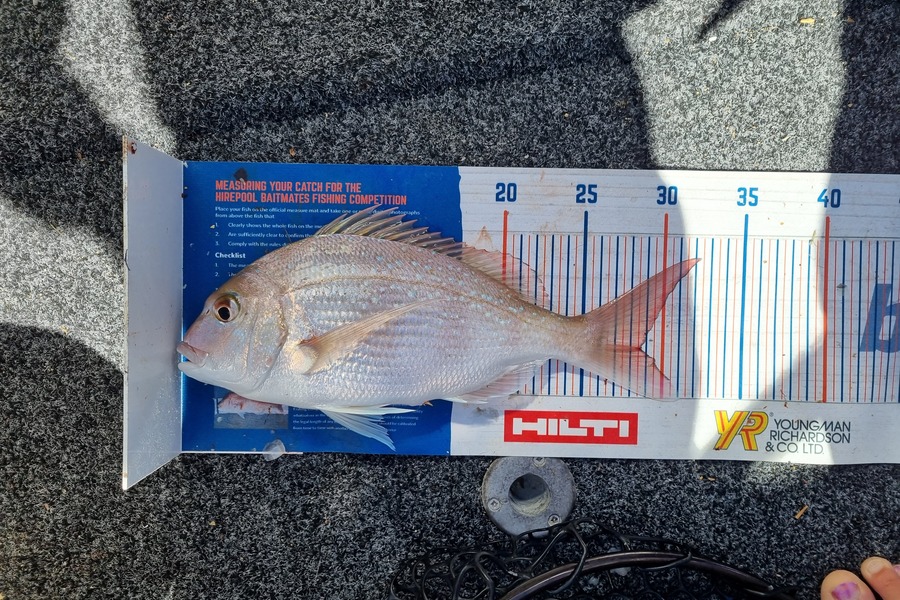 Stacey Gillespie caught this 28.5cm Snapper at Golden Bay during The Export NZ Fishing Competition