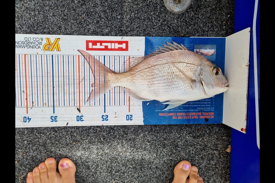 Ayla Gillespie caught this 27.0cm Snapper at Golden Bay during The Export NZ Fishing Competition