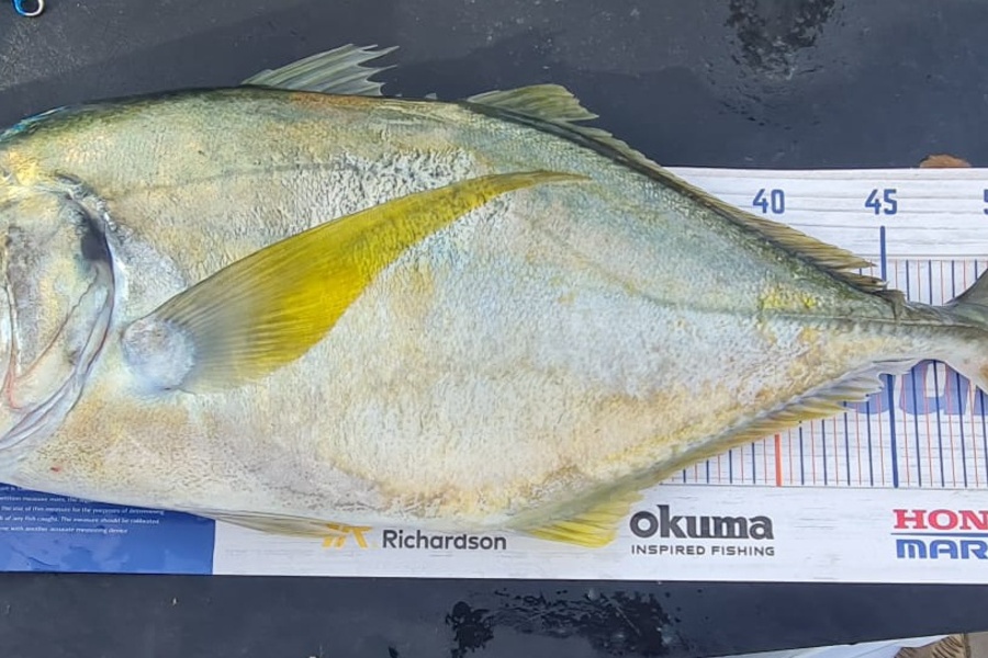 Brae Simpkin caught this 52.5cm Trevally at Tutukaka North Reef during The Export NZ Fishing Competition