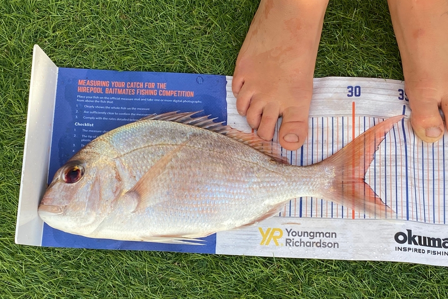 Carter Leaning caught this 31.0cm Snapper at Cooks beach during The Export NZ Fishing Competition