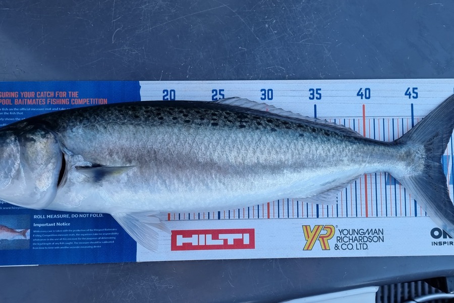 Suzanne Barker caught this 47.5cm Kahawai at Whangamata during The Export NZ Fishing Competition