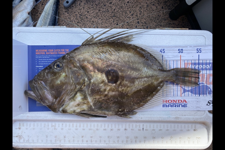 Mikayla Baird caught this 55.0cm John Dory at pauanui  during The Export NZ Fishing Competition