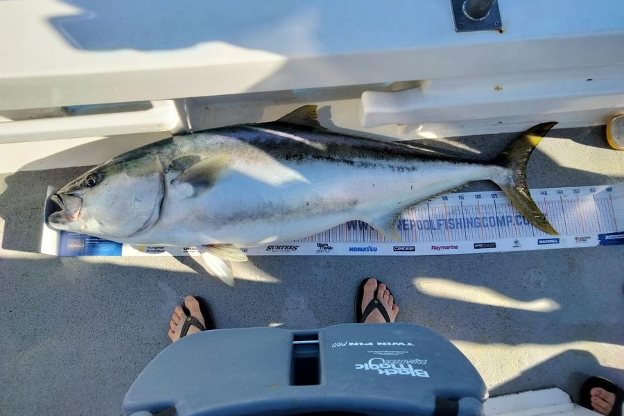 Norman Marsh caught this 135.0cm Kingfish at Northland during The Export NZ Fishing Competition