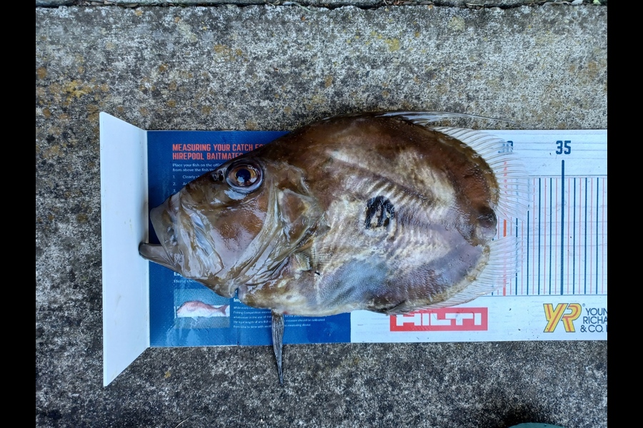 Dennis McLeod caught this 29cm John Dory at Whitianga during The Export NZ Fishing Competition