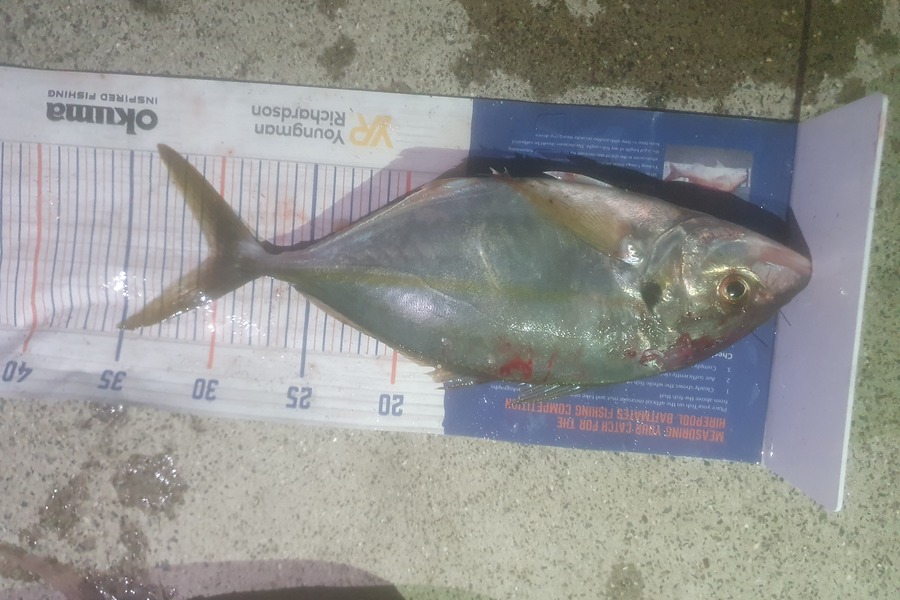 Ben Cullen caught this 30.5cm Trevally at Kawau during The Export NZ Fishing Competition