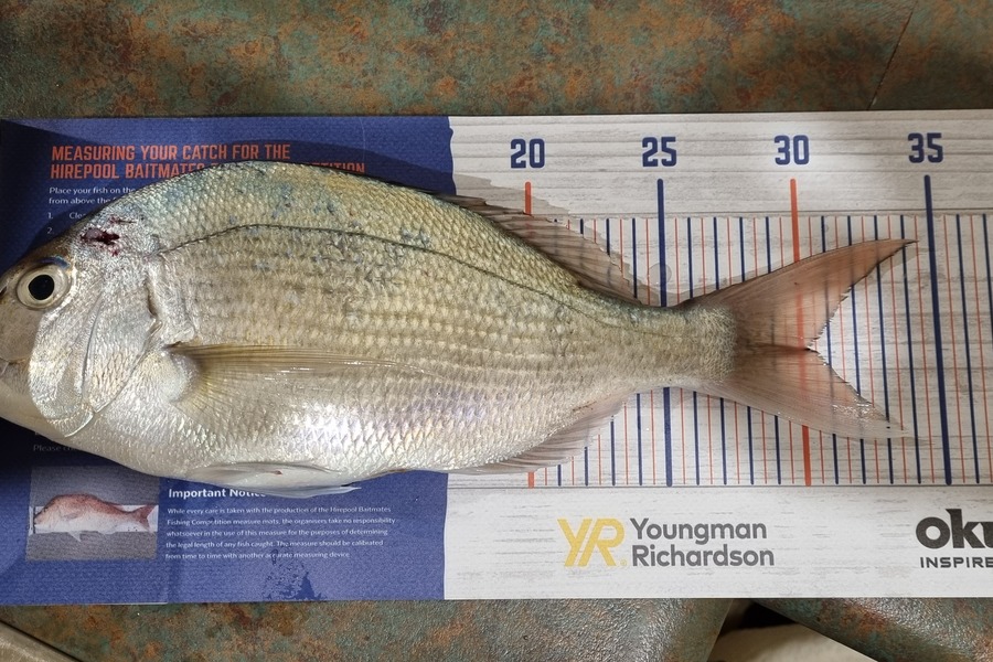 Winter Rosado caught this 30.0cm Snapper at Wellington during The Export NZ Fishing Competition