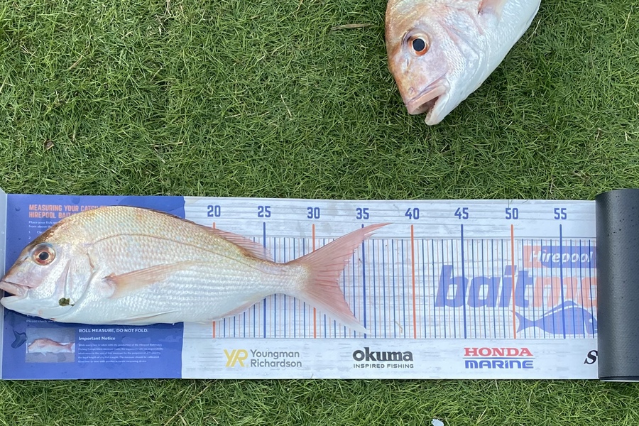 Noah Leaning caught this 32.0cm Snapper at Cooks beach during The Export NZ Fishing Competition