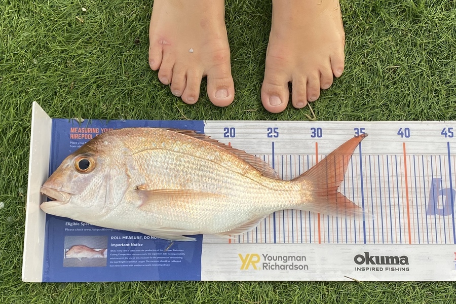 Noah Leaning caught this 32.0cm Snapper at Cooks beach during The Export NZ Fishing Competition