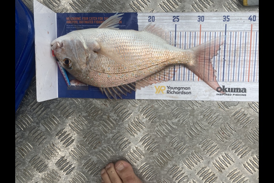 Josiah Atkinson caught this 32cm Snapper at Whanarua bay during The Export NZ Fishing Competition