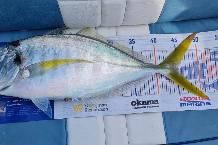 Aria Whitford caught this 45.0cm Trevally at Great Mercury Island during The Export NZ Fishing Competition