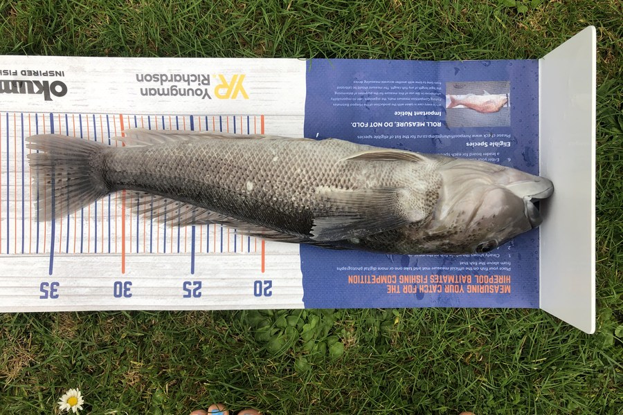 Emily Hughes caught this 36.5cm Blue Cod at Kaikoura during The Export NZ Fishing Competition