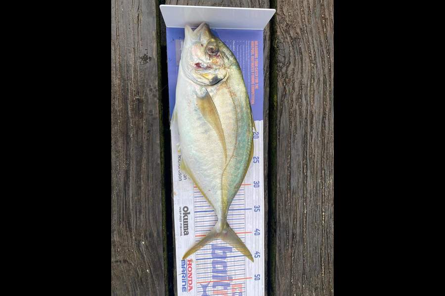 Shaun Johnston caught this 40.5cm Trevally at Coville during The Export NZ Fishing Competition