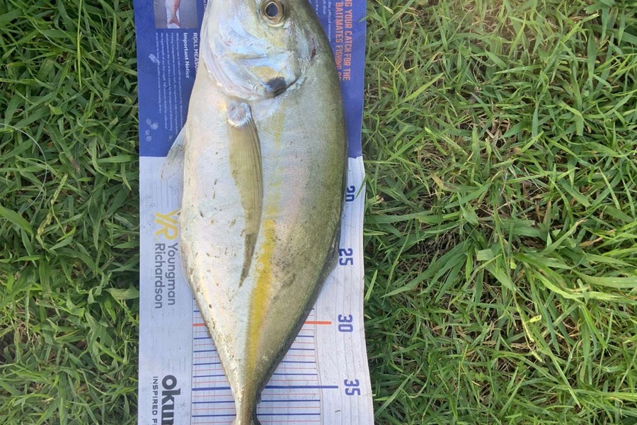 Mason Lake caught this 41.0cm Trevally at Algies bay during The Export NZ Fishing Competition