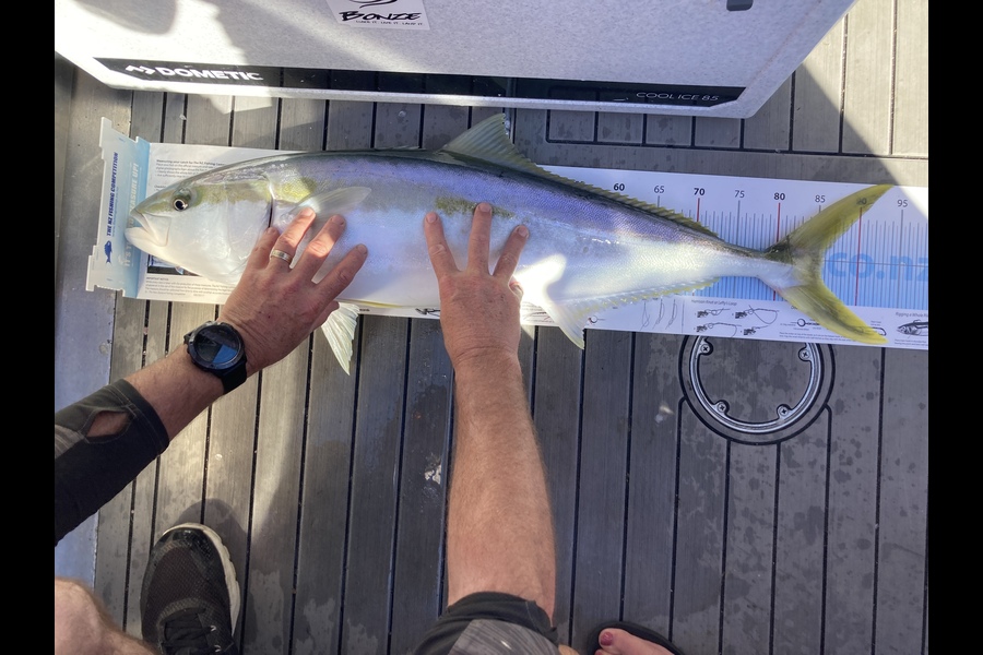 Nikki Pask caught this 85.0cm Kingfish at Whakatane during The Export NZ Fishing Competition