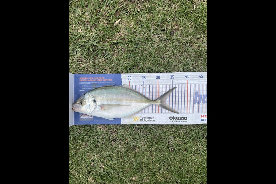 Clint Green caught this 32.0cm Trevally at Coromandel Mussel Farms during The Export NZ Fishing Competition