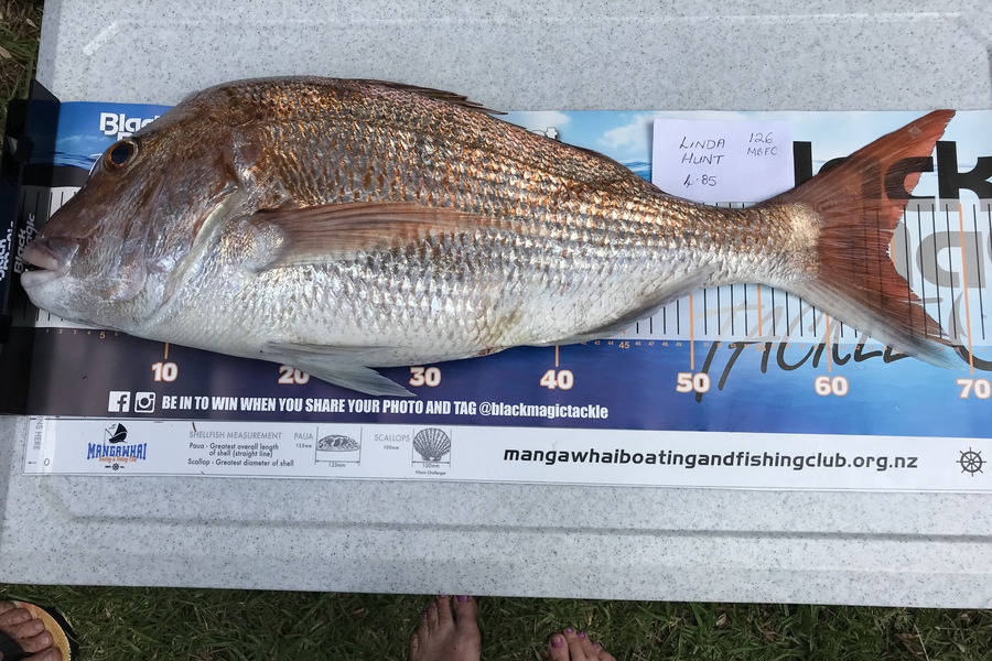 Linda Hunt caught this 64.5cm Snapper at mangawhai heads during The Export NZ Fishing Competition