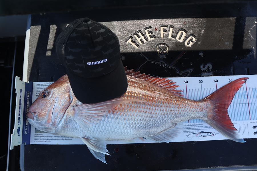 Mark Cotton caught this 62.5cm Snapper at Tasman Bay during The Export NZ Fishing Competition