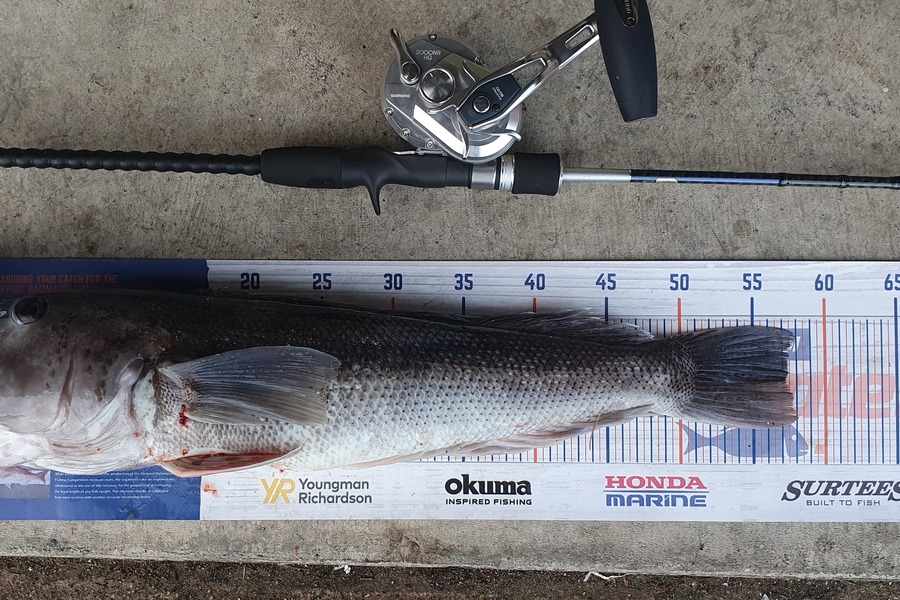 Hamish Woods caught this 57.0cm Blue Cod at Wellington during The Export NZ Fishing Competition