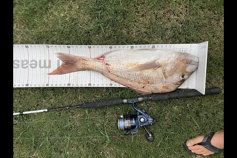 Johnny Kolk caught this 61.5cm Snapper at Motiti island during The Export NZ Fishing Competition
