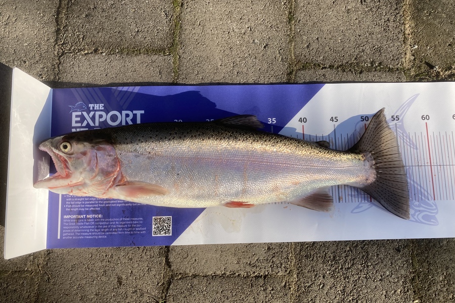 Ben Fry caught this 55.5cm Trout at Lake Tarawera  during The Export NZ Fishing Competition