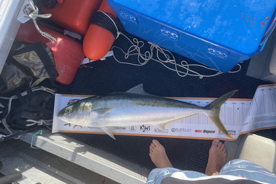 Samuel Clarke caught this 102.0cm Kingfish at Mangawhai  during The Export NZ Fishing Competition