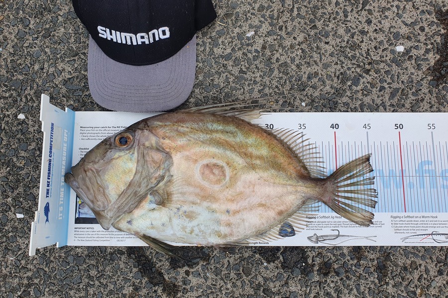 Ian Campbell caught this 46.0cm John Dory at Opito Bay  during The Export NZ Fishing Competition