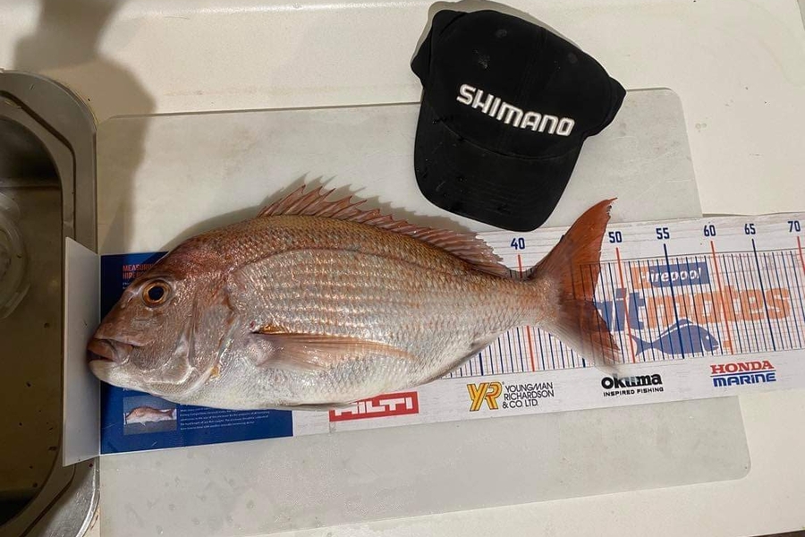 Samuel Georges caught this 46.5cm Snapper at Mana during The Export NZ Fishing Competition